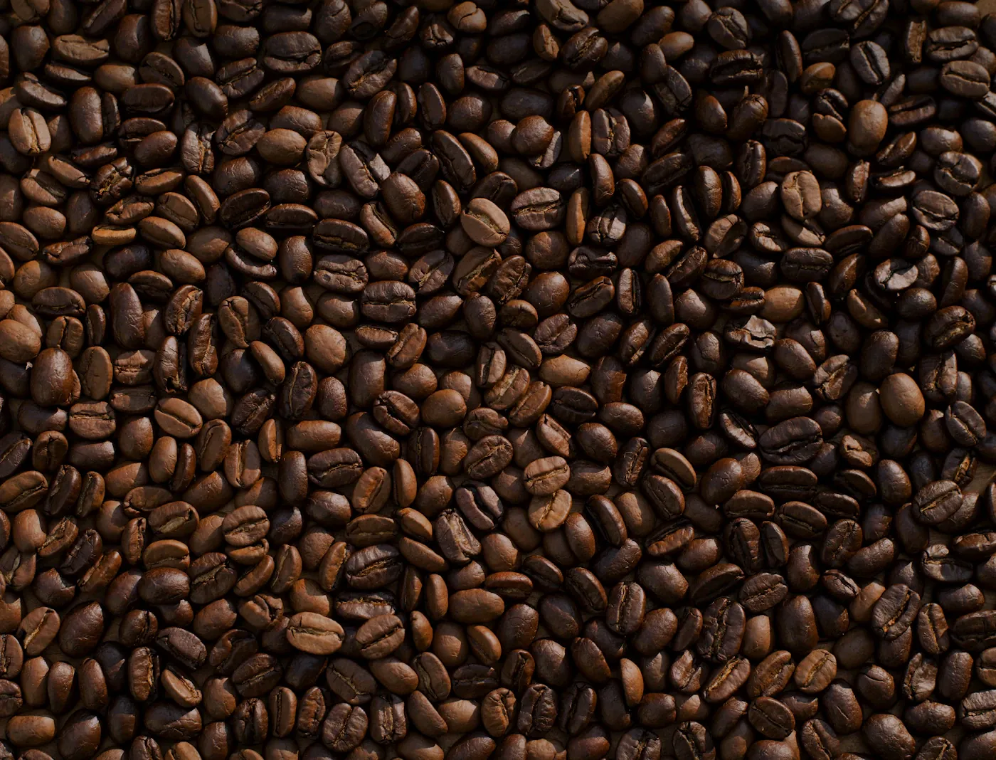 Detalle de granos de café tostado · fotografía ilustrativa